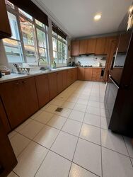 Henry Park (D10), Detached #559724421